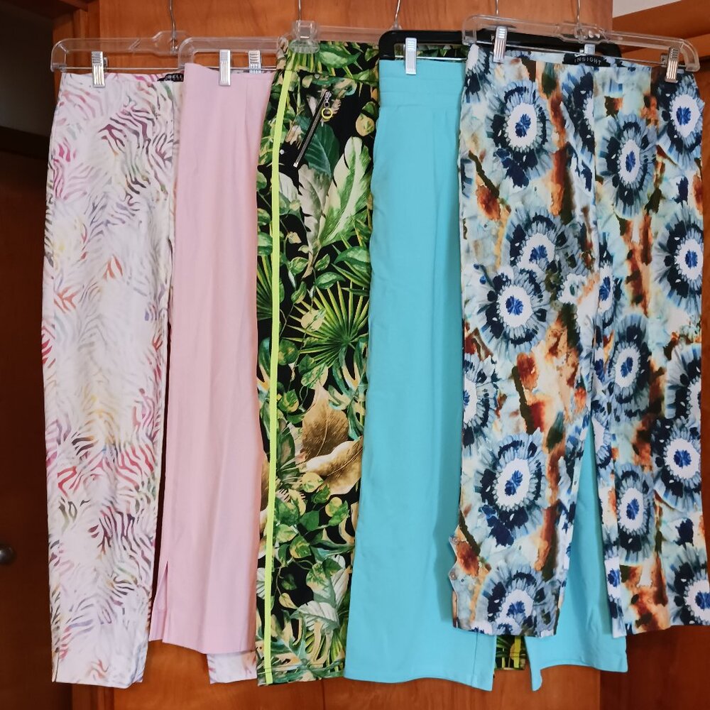 Bundle of 5 pair of Size 2 pants by high end designers